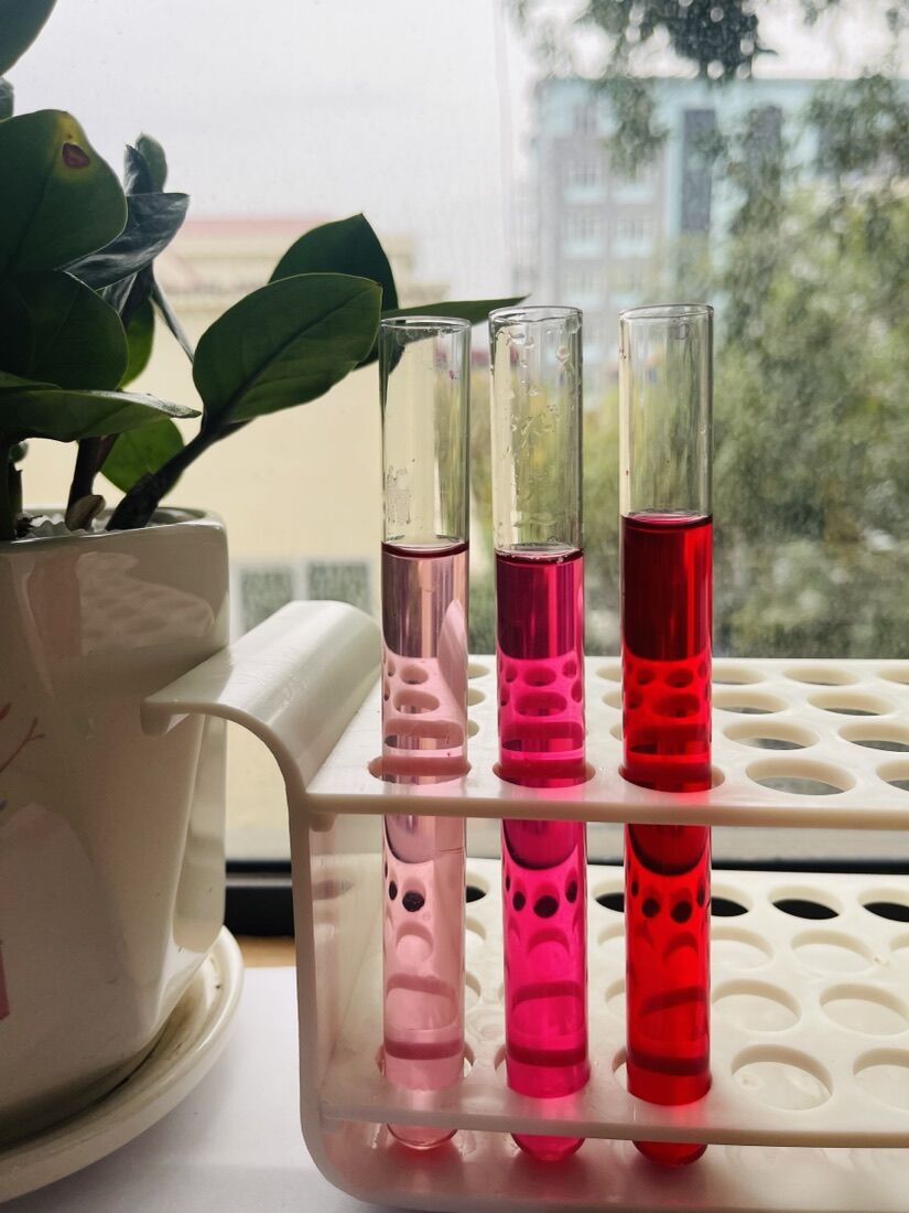 Beetroot red — ảnh sản phẩm