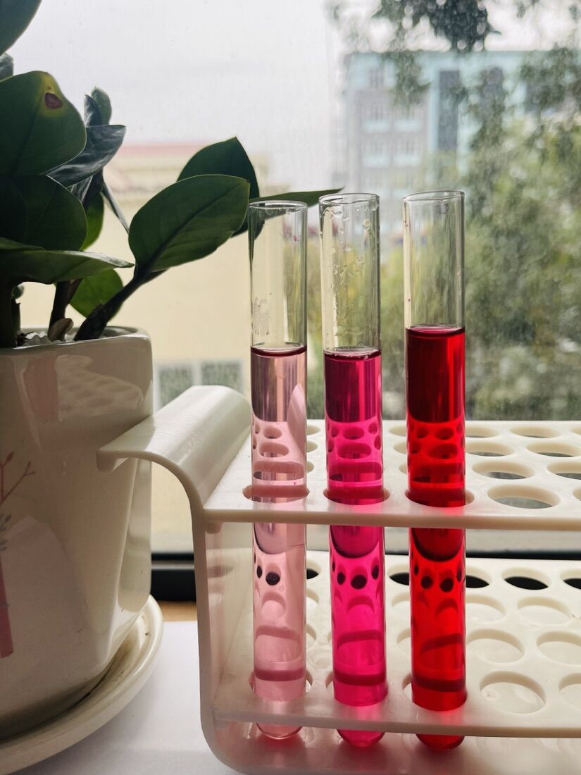 Beetroot red — ảnh sản phẩm