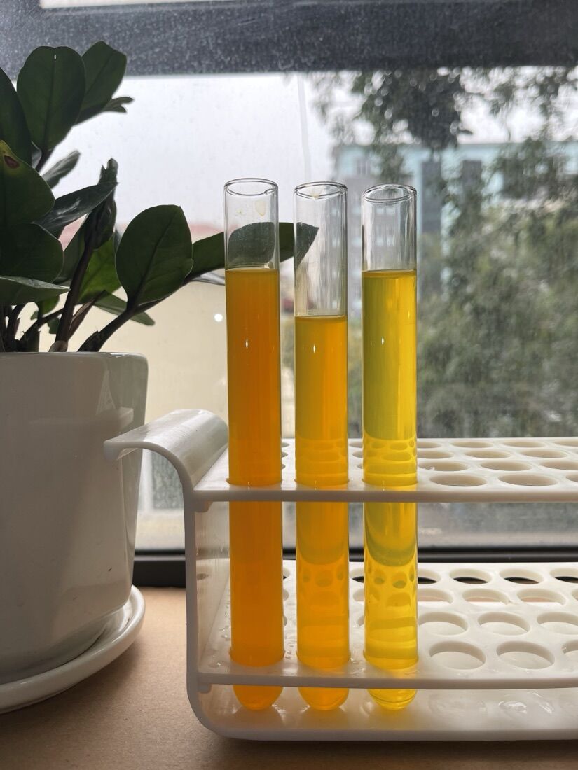 Beta-carotene — ảnh sản phẩm