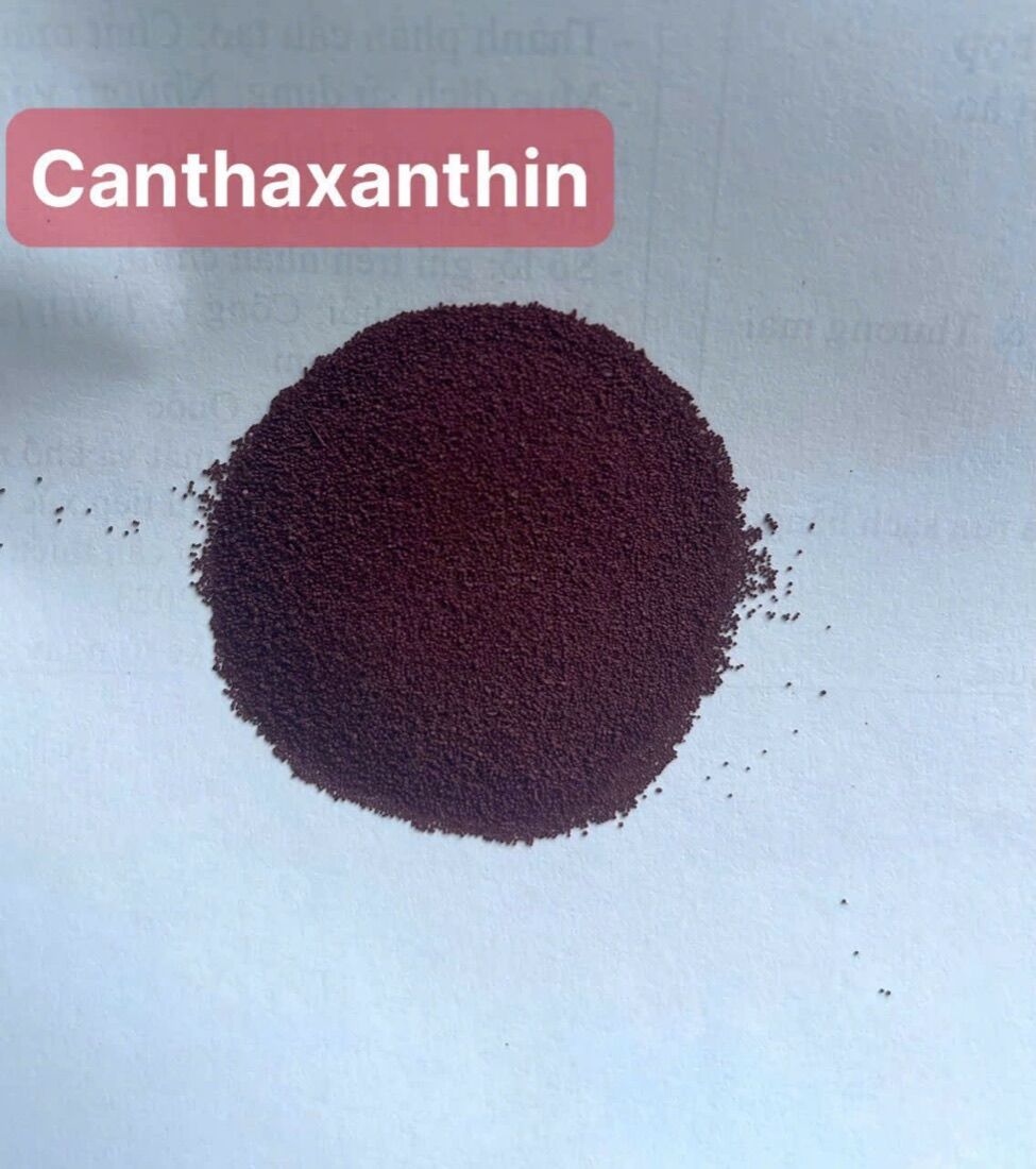 Canthaxanthin