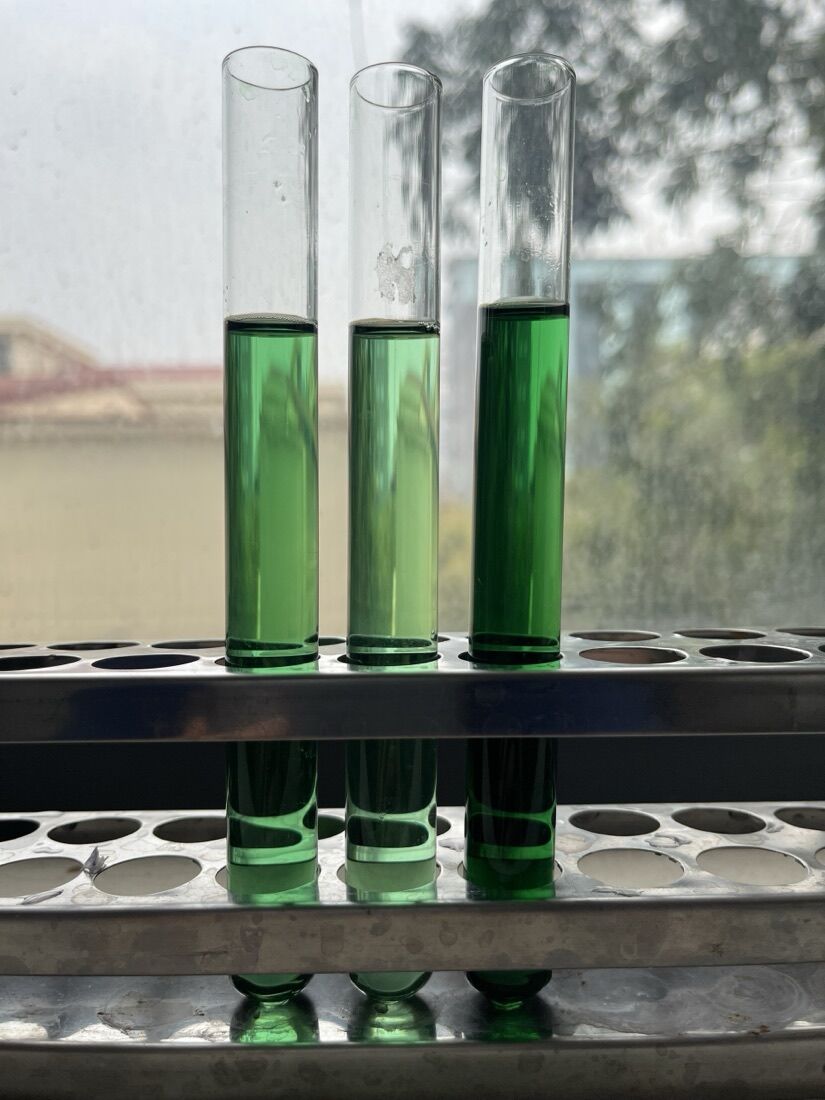 Copper chlorophyllin — ảnh sản phẩm