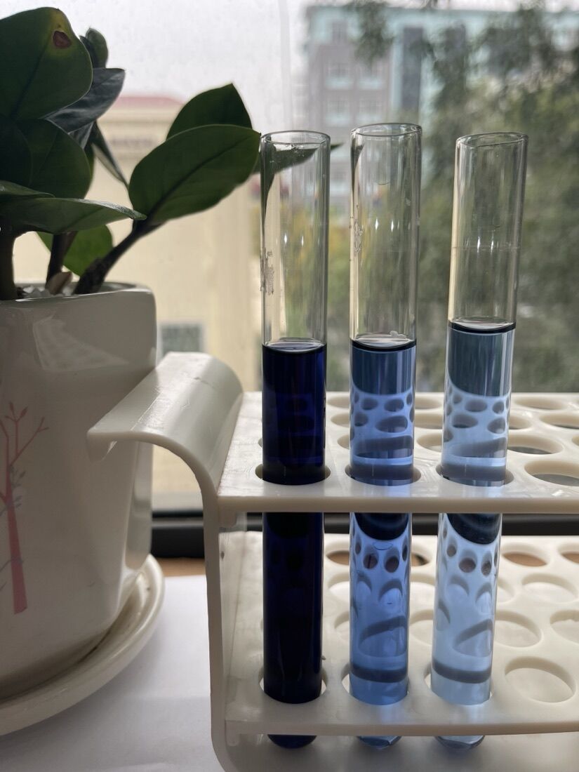Gardenia blue — ảnh sản phẩm