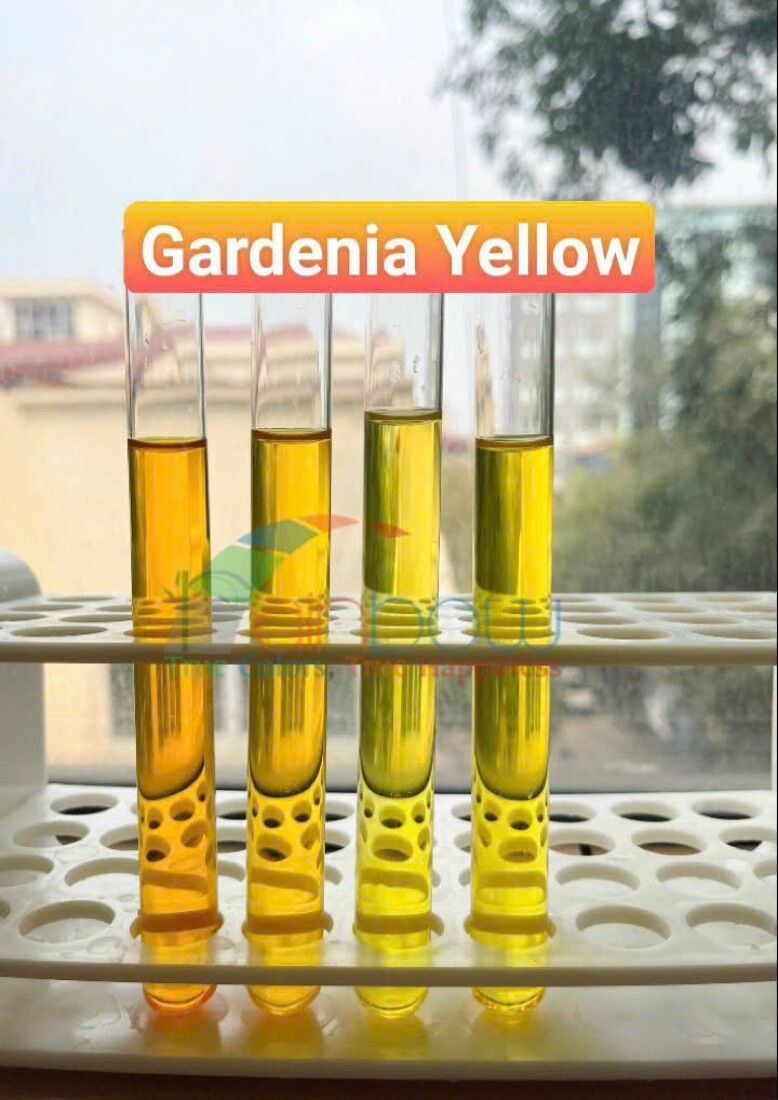Gardenia yellow — ảnh sản phẩm