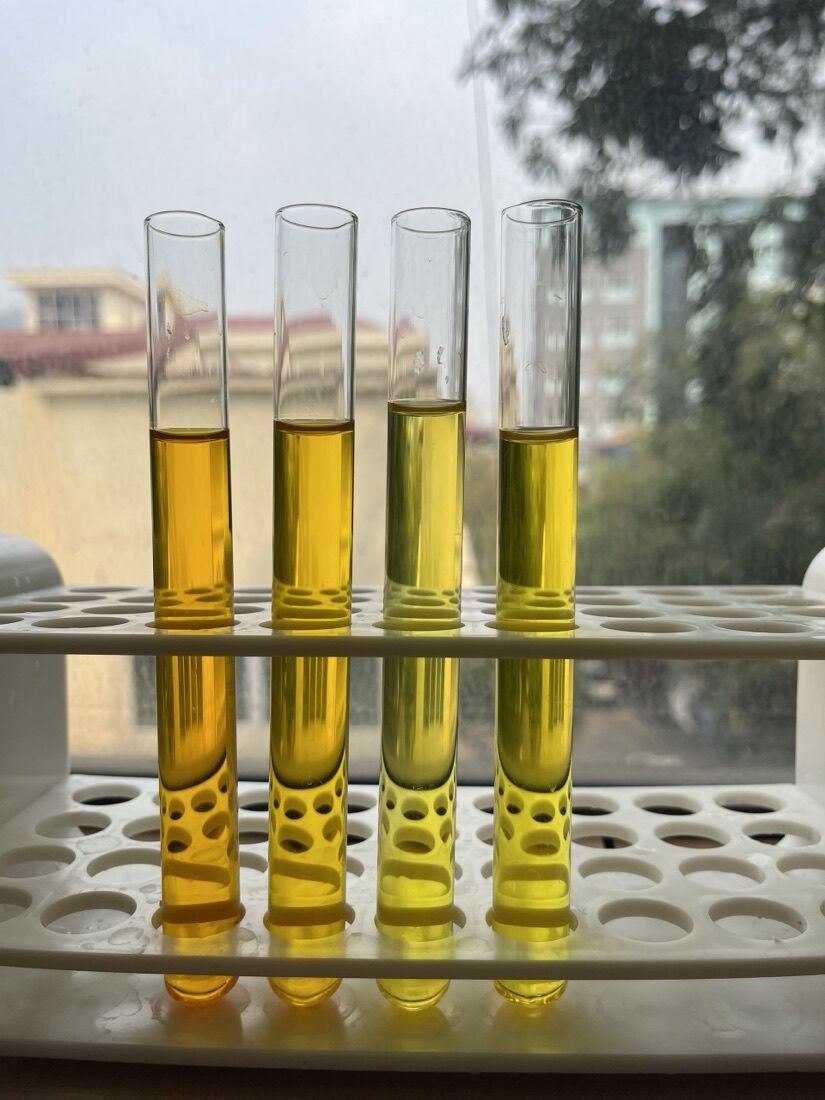 Gardenia yellow — ảnh sản phẩm