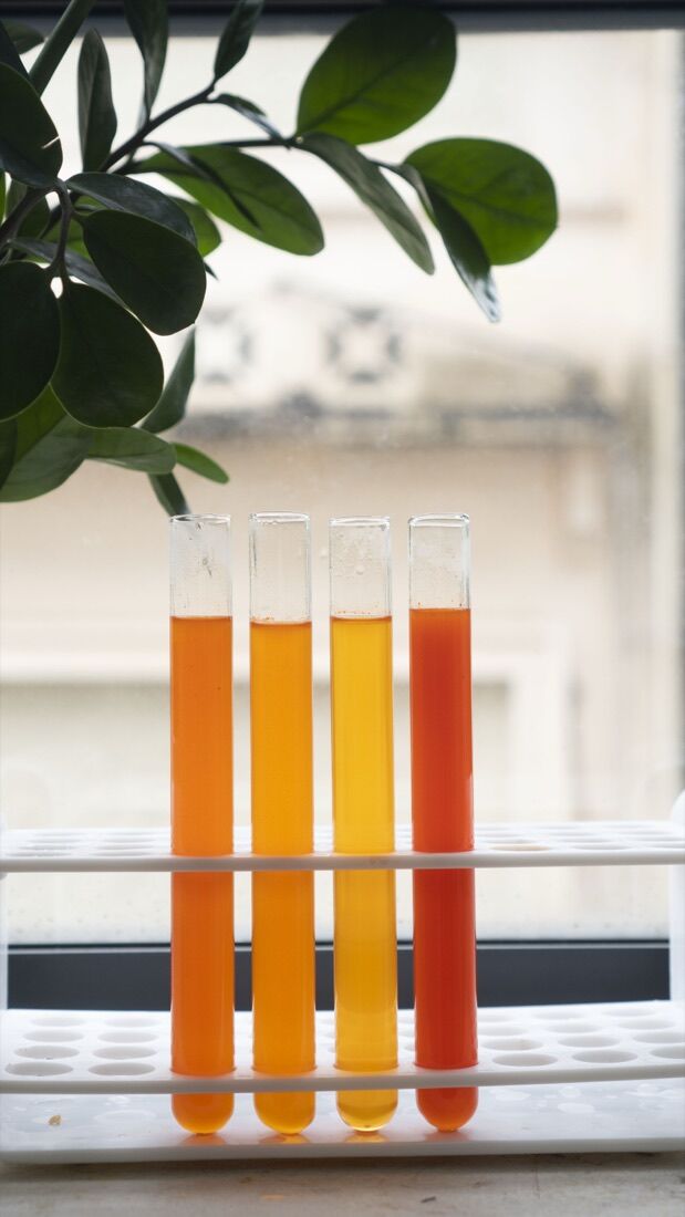 Paprika oleoresin