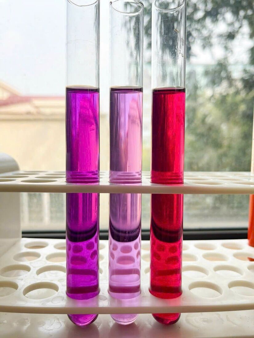 Red radish extract