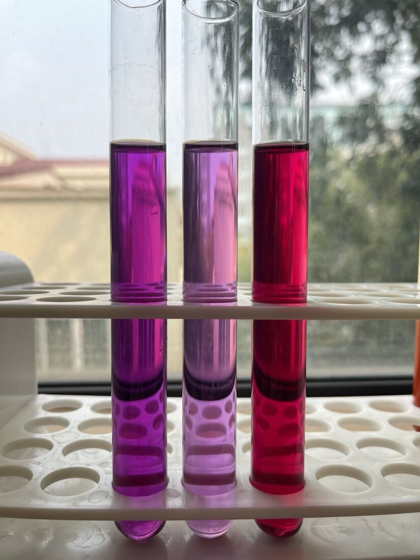 Red radish extract — ảnh sản phẩm